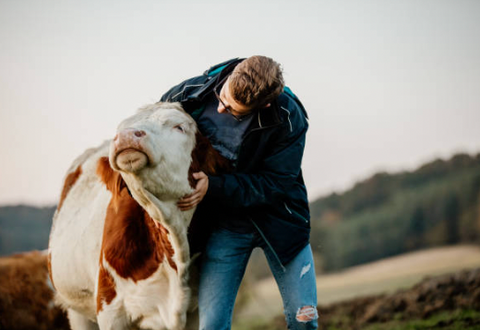 Supporting Local Farmers and Sustainable Practices